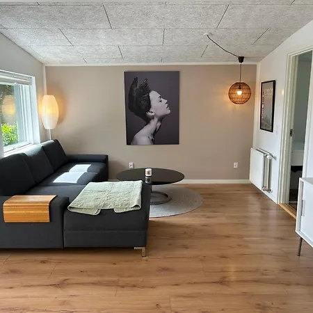 Lovely Downtown Villa Billund